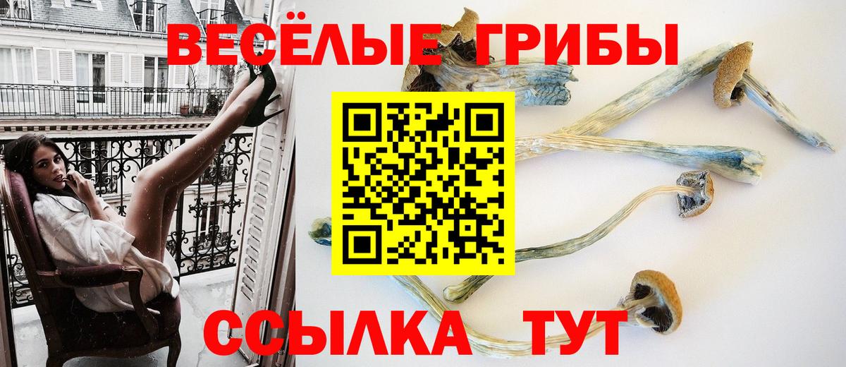 Псилоцибиновые грибы MAGIC MUSHROOMS Павлово