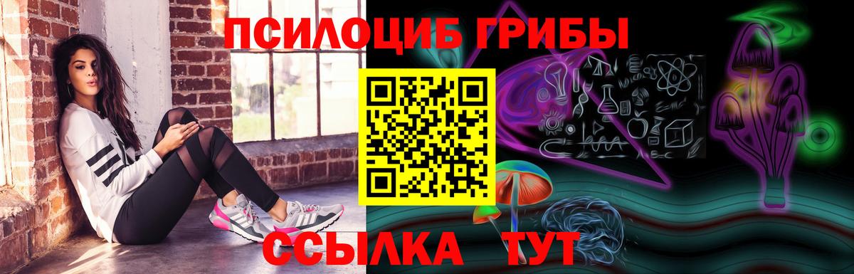 Галлюциногенные грибы MAGIC MUSHROOMS  Вход с VPN  Павлово 